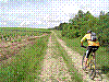 VTT 022.jpg